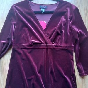 Notations Burgundy Velvet Top